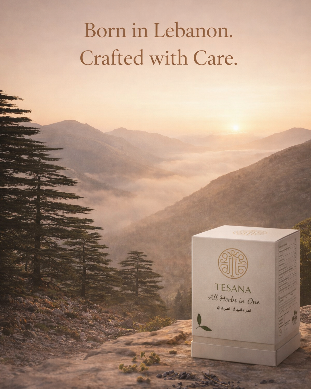 Tesana hero slide 15